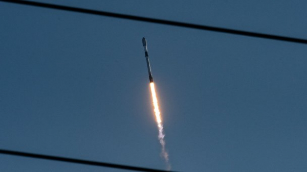 Космическая бездна: почему упали акции SpaceX и вырастут ли они снова Космическая бездна: почему упали акции SpaceX и вырастут ли они снова
